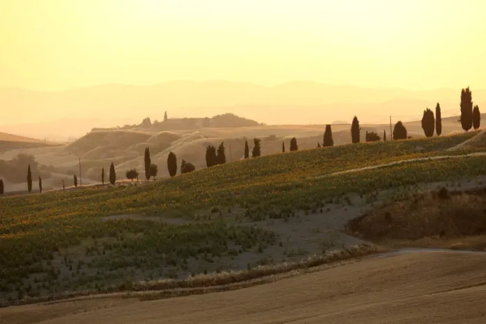 Framed Print : Europe; Italy; Tuscany; Val d Orcia, landscape with road lined with cypress trees Framed Print : Europe; Italy; Tuscany; Val d Orcia, landscape with road lined with cypress trees