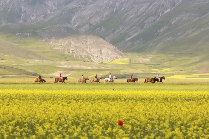 Framed Print : Europe Italy, Umbria, Castelluccio di Norcia. Horse ride through meadows Framed Print : Europe Italy, Umbria, Castelluccio di Norcia. Horse ride through meadows