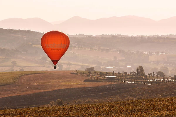 Europe, Italy, Umbria, Perugia district, Gualdo Cattaneo. Hot-air balloons