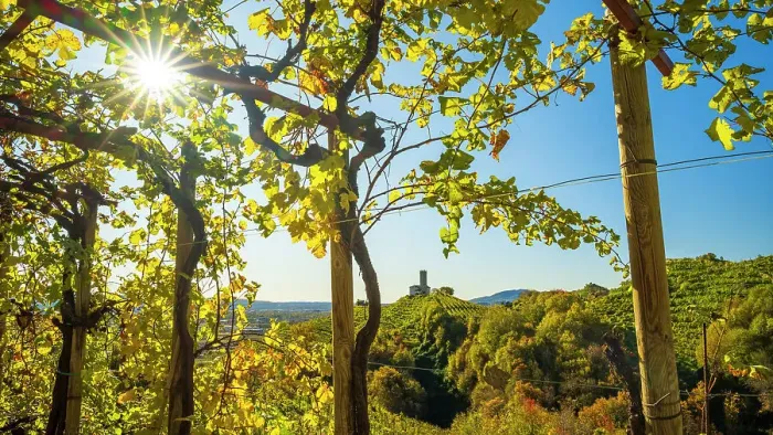 Framed Print : europe, Italy, Veneto. Landscape in the Prosecco hills of Conegliano and Valdobbiadene in autumn with the little church of San Lorenzo Framed Print : europe, Italy, Veneto. Landscape in the Prosecco hills of Conegliano and Valdobbiadene in autumn with the little church of San Lorenzo