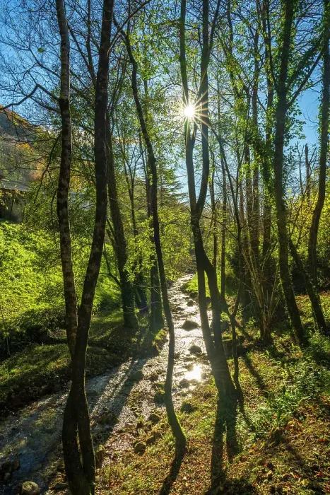 Framed Print : europe, Italy, Veneto. on the footpath of the water, la via dell´acqua, near to Cison di Valmarino in the Prosecco hills
