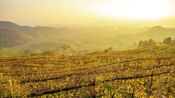 Framed Print : europe, Italy, Veneto. The Prosecco hills of Conegliano and Valdobbiadene in autumn. Near to Osteria Senza Oste at sunset Framed Print : europe, Italy, Veneto. The Prosecco hills of Conegliano and Valdobbiadene in autumn. Near to Osteria Senza Oste at sunset