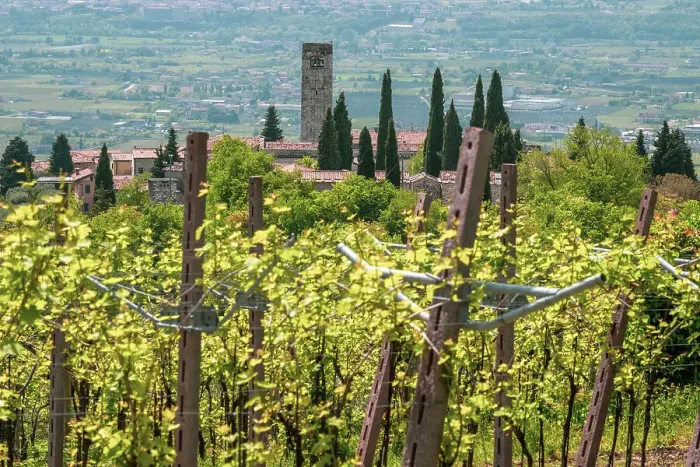 Framed Print : Europe, Italy, Veneto. The tiny village of San Giorgio in Valpolicella Framed Print : Europe, Italy, Veneto. The tiny village of San Giorgio in Valpolicella