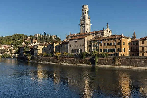 europe, Italy, Veneto. Verona, view over the Adige River towards the cathedral