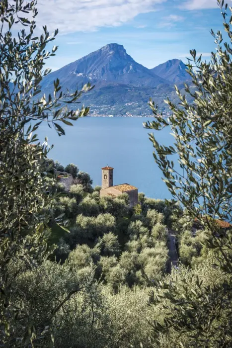 Framed Print : europe, Italy, Veneto. view through olives groves towards the Garda lake and the little Framed Print : europe, Italy, Veneto. view through olives groves towards the Garda lake and the little