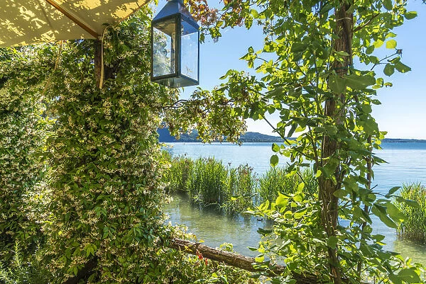 Europe, Italy, Veneto. View from Punta San Vigilio at Garda lake