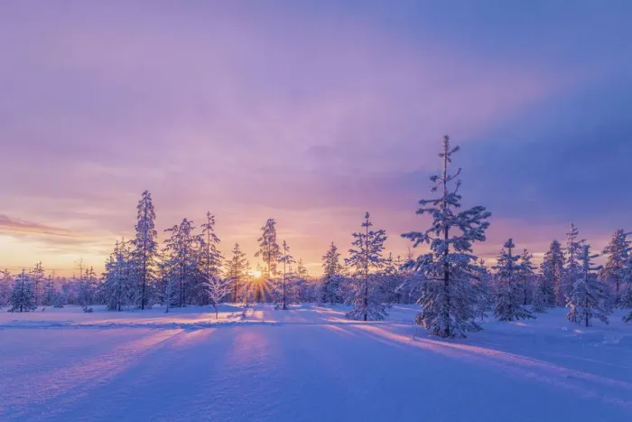 Framed Print : Europe, Lapland, Finland: sunset on the woods in Rovaniemi area Framed Print : Europe, Lapland, Finland: sunset on the woods in Rovaniemi area