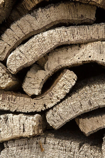 Europe, Portugal, Alentejo, cork oak bark