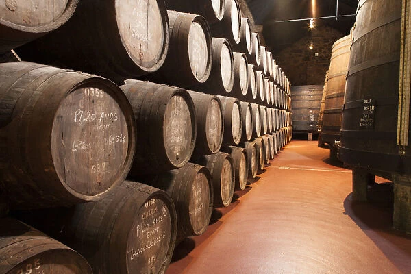 Europe, Portugal, Porto (Oporto), Port wine barrels in the warehouse of the Calem