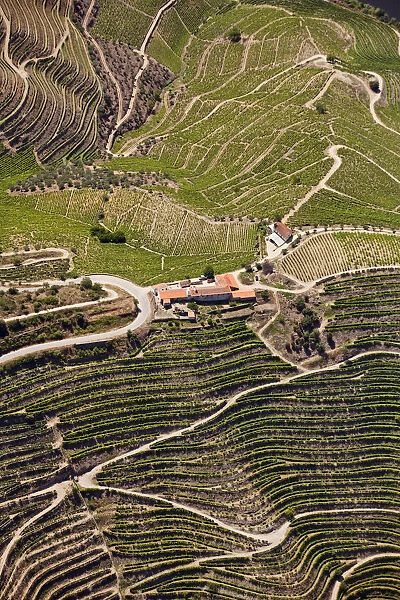 Europe, Portugal, Tras-os-Montes e Alto Douro, Douro Valley aerial view of vineyards
