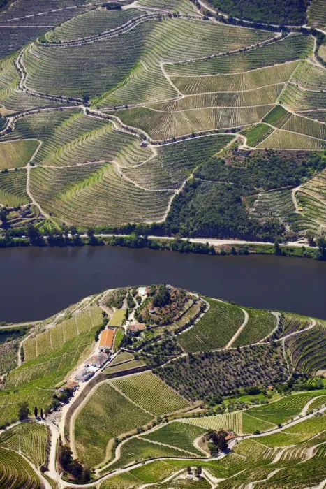 Framed Print : Europe, Portugal, Tras-os-Montes e Alto Douro, Douro Valley aerial view of vineyards Framed Print : Europe, Portugal, Tras-os-Montes e Alto Douro, Douro Valley aerial view of vineyards