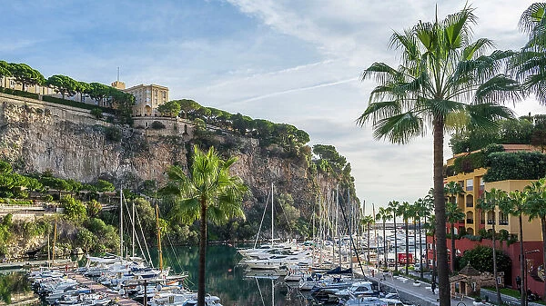 Europe, Principality of Monaco. The little harbour on foot of Monaco Ville