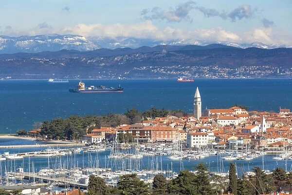 Europe, Slovenia, Istria. High angle view of the bay and marina of Izola, Slovenian