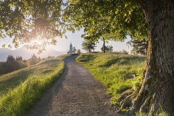 Europe, Slovenia. The road leading to the Church of St Primus and Felician in Jamnik