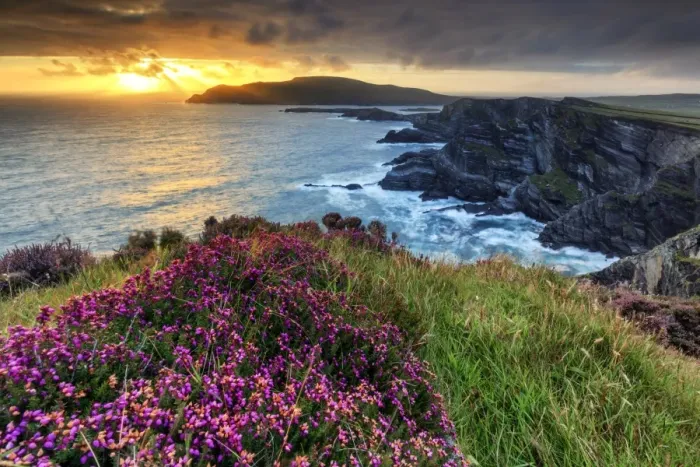 Framed Print : Europe, Spectacular Kerry cliffs at sunset along the Ring of Kerry Framed Print : Europe, Spectacular Kerry cliffs at sunset along the Ring of Kerry