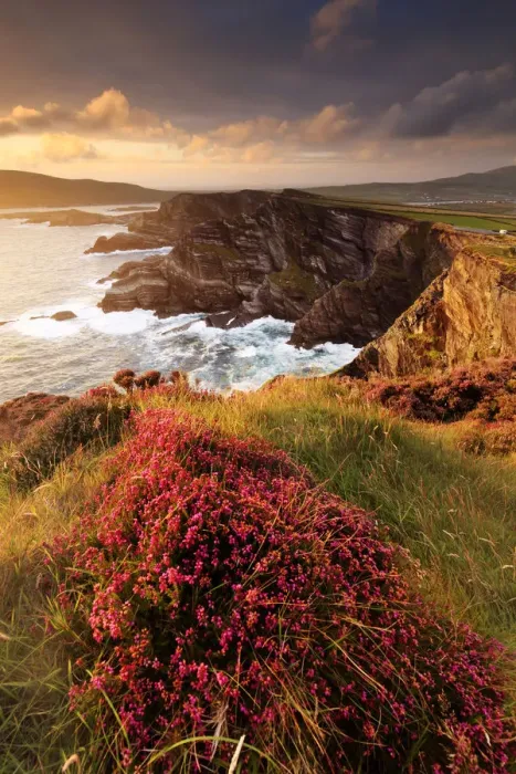 Framed Print : Europe, Spectacular Kerry cliffs at sunset along the Ring of Kerry Framed Print : Europe, Spectacular Kerry cliffs at sunset along the Ring of Kerry