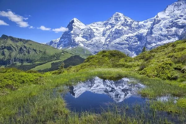 Europe, Switzerland, Bern, Bernese Oberland, Reflection in pond with eiger