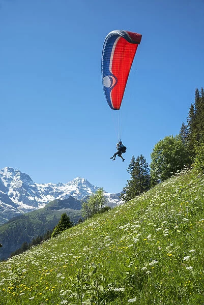 Europe, Switzerland, Bern, Bernese Oberland, Birg, people paragliding