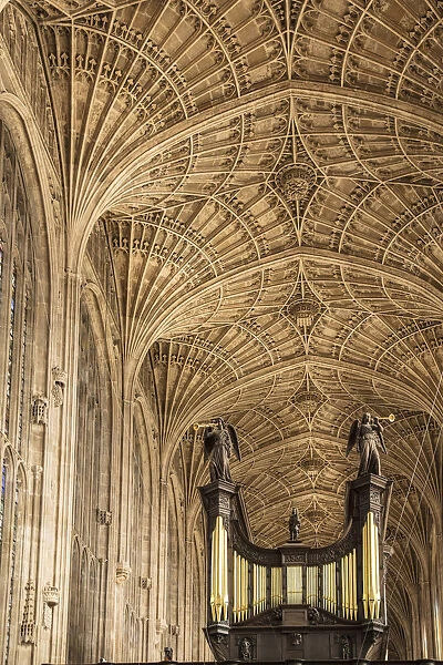 Europe, United Kingdom, England, Cambridge, Cambridge University, nave of King s