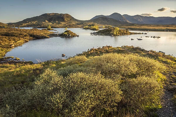 Evening light on Lochan na h-Achlaise, Rannoch Moor, Aryll and Bute, Scotland