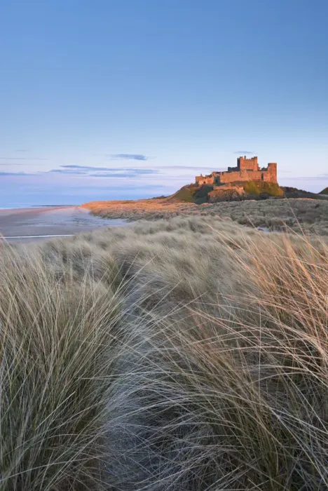 Framed Print : Evening sunlight illuminates Bamburgh Castle, Northumberland, England. Spring (April)