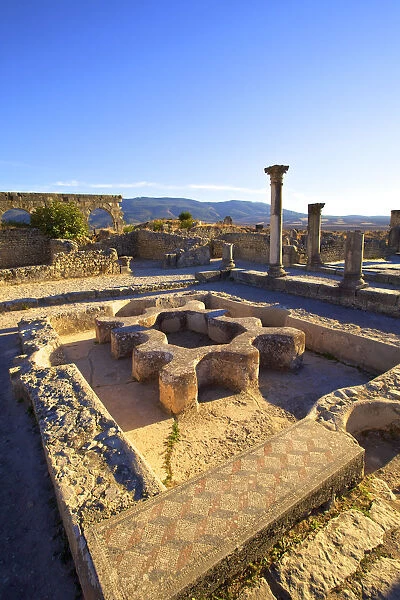 Excavated Roman City, Volubilis, Morocco, North Africa