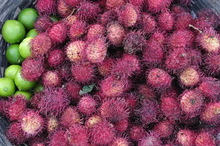 Framed Print : Exotic fruit at a market in Leon, Nicaragua, Central America
