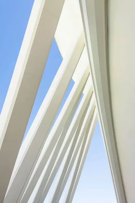 Framed Print : The exterior details of the Museu de les Ciencies Principe Felipe (Principe Felipe Science Museum) of Ciudad de las Artes y las Ciencias (The City of Arts and Sciences), Valencia, Spain Framed Print : The exterior details of the Museu de les Ciencies Principe Felipe (Principe Felipe Science Museum) of Ciudad de las Artes y las Ciencias (The City of Arts and Sciences), Valencia, Spain