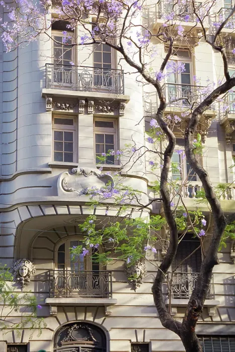 Framed Print : The facade of a colonial architecture building with a Jacaranda tree in springtime, Retiro, Buenos Aires, Argentina Framed Print : The facade of a colonial architecture building with a Jacaranda tree in springtime, Retiro, Buenos Aires, Argentina