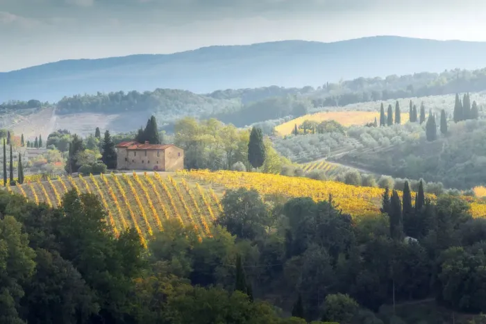 Framed Print : A fairytale-like view of the Tuscany hills, with vineyards and cypress trees everywhere and a lonely countryhouse to complete the scene, near San Gimignano, Tuscany, Italy Framed Print : A fairytale-like view of the Tuscany hills, with vineyards and cypress trees everywhere and a lonely countryhouse to complete the scene, near San Gimignano, Tuscany, Italy
