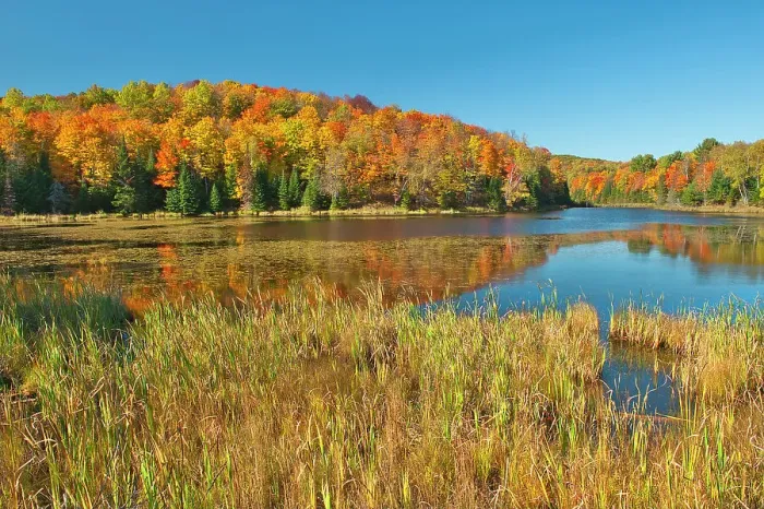 Framed Print : Fall colors at Potash Lake Nera Bancroft, Ontario, Canada Framed Print : Fall colors at Potash Lake Nera Bancroft, Ontario, Canada