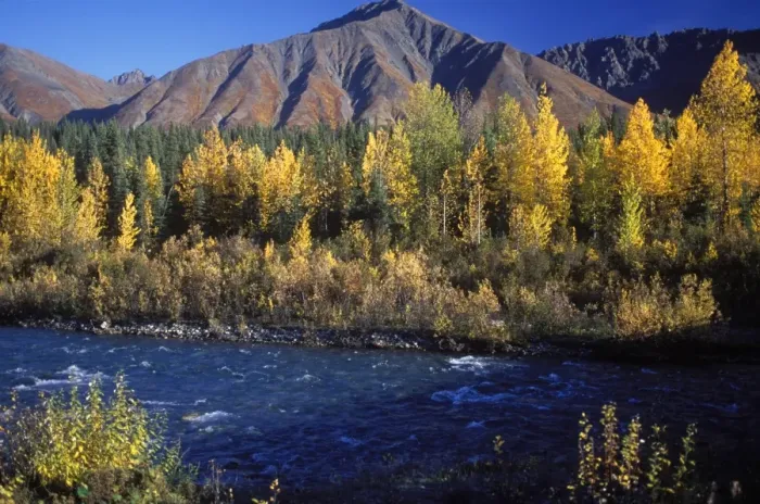 Framed Print : Fall colours