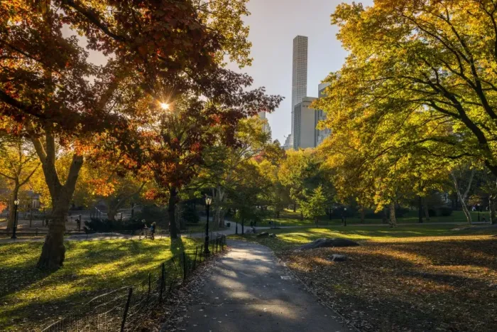 Framed Print : Fall foliage at Central Park, Manhattan, New York, USA Framed Print : Fall foliage at Central Park, Manhattan, New York, USA