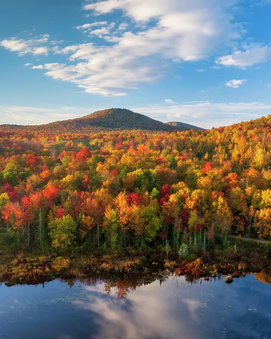 Framed Print : Fall foliage on hillside at Turtlehead Pond, Marshfield, Vermont, USA