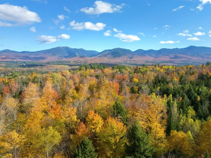 Framed Print : Fall foliage and the White Mountains beyond, Franconina Notch State Park, Sugar Hill, New Hampshire, New England, USA Framed Print : Fall foliage and the White Mountains beyond, Franconina Notch State Park, Sugar Hill, New Hampshire, New England, USA
