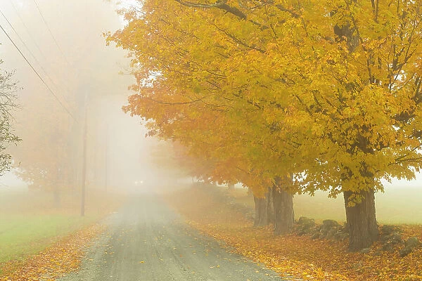 Fall foliage, Woodstock, Vermont, USA