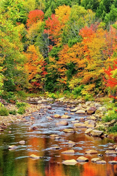 Framed Print : Fall Reflections Vermont, New England, USA Framed Print : Fall Reflections Vermont, New England, USA