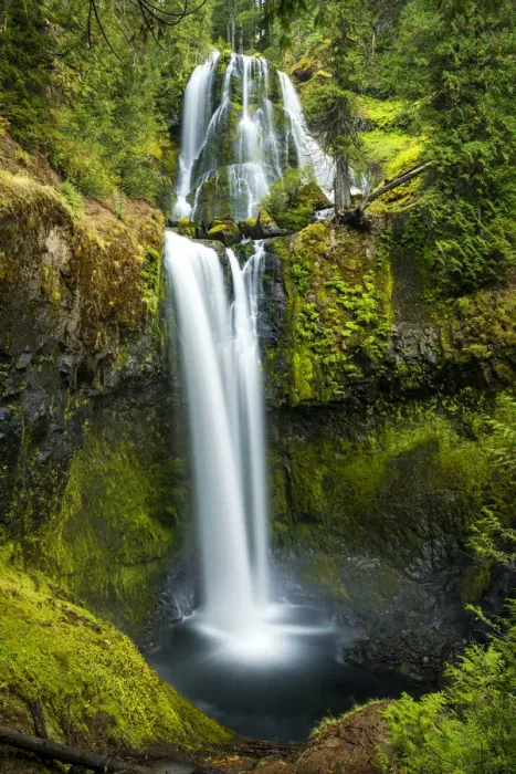 Framed Print : Falls Creek Falls, Gifford Pinchot National Forest, Washington, USA Framed Print : Falls Creek Falls, Gifford Pinchot National Forest, Washington, USA