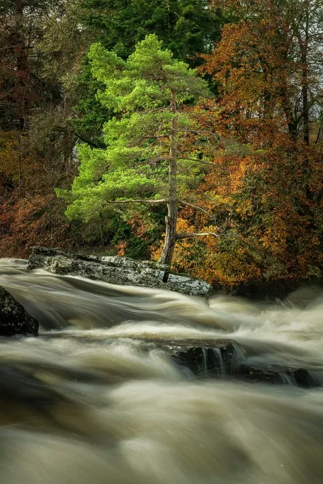 Framed Print : Falls of Dochart in Autumn, Killin, Perthshire, Scotland Framed Print : Falls of Dochart in Autumn, Killin, Perthshire, Scotland