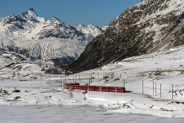 The famous Bernina Express red train passing Lago Bianco in a scenic winter mountain landscape