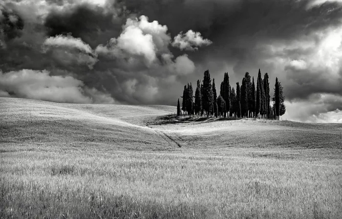 Framed Print : The famous Clump of cypress trees ion stormy weather, Val d'Orcia, near San Quirico d'Orcia, Tuscany, Italy Framed Print : The famous Clump of cypress trees ion stormy weather, Val d'Orcia, near San Quirico d'Orcia, Tuscany, Italy