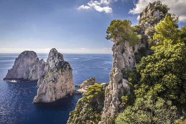 Faraglione rocks near Capri, Capri, Gulf of Naples, Campania, Italy