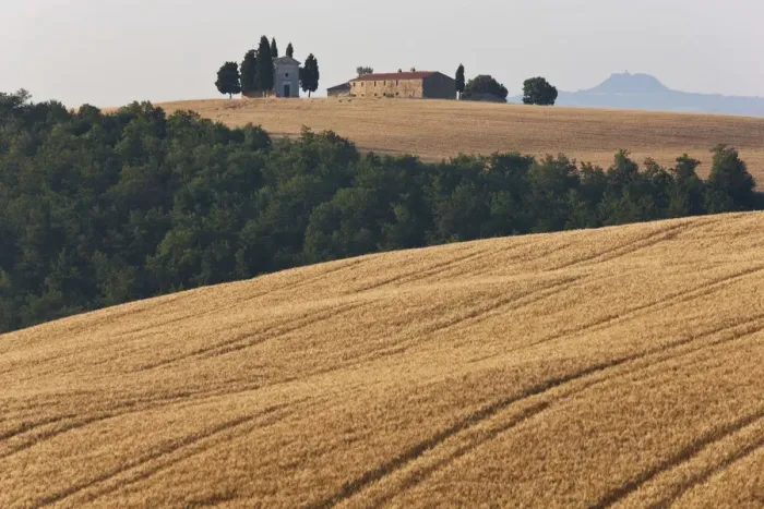 Framed Print : Farm and chapel above a field of barley, Val d Orcia, Tuscany, Italy Framed Print : Farm and chapel above a field of barley, Val d Orcia, Tuscany, Italy