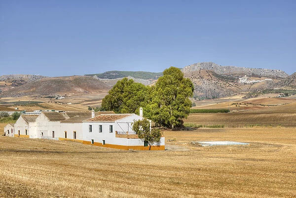 Farm near Zalea, Andalusia, Spain