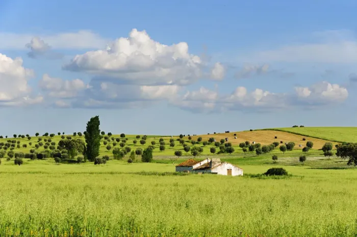 Framed Print : A farm in the vast plains of Alentejo, Portugal Framed Print : A farm in the vast plains of Alentejo, Portugal