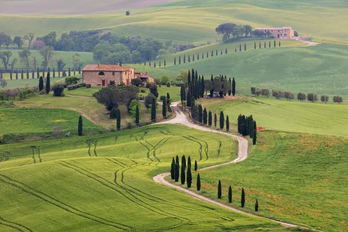 Framed Print : Farmhouse with gravel road lined by cypress trees, Val d'Orcia, San Quirico d'Orcia, Tuscany, Italy Framed Print : Farmhouse with gravel road lined by cypress trees, Val d'Orcia, San Quirico d'Orcia, Tuscany, Italy