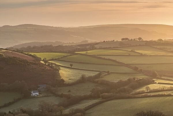 Farmhouse in idyllic rolling countryside at dawn, Dartmoor National Park, Devon, England