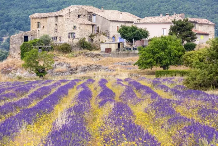 Framed Print : A farmhouse near Banon, Provence, France