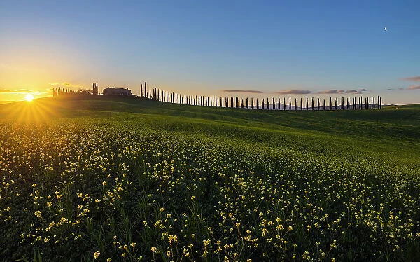 Farmhouse Poggio Covili at sunrise during spring, Castiglione D'Orcia, Siena, Tuscany, Italy