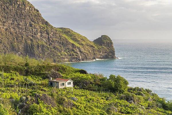 Farmhouse surrounded by fruit plantations and Clerigo Point in the background. Faial